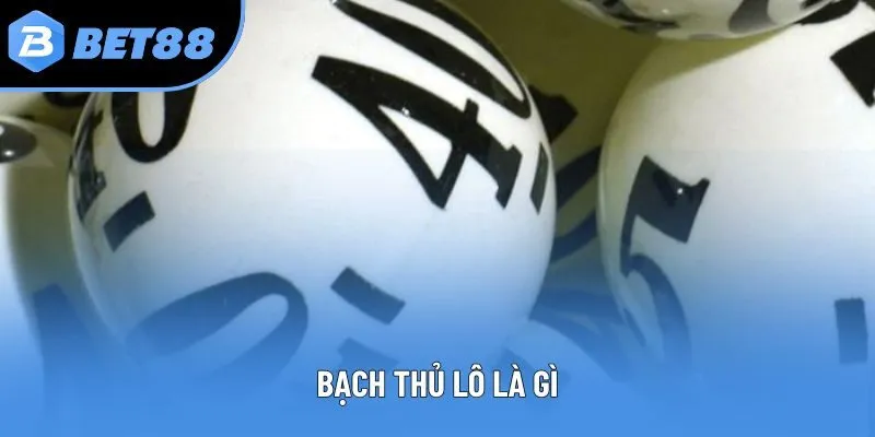 Bạch Thủ Lô Là Gì? Khám Phá Phương Pháp Đánh Lô Độc Đáo 2025