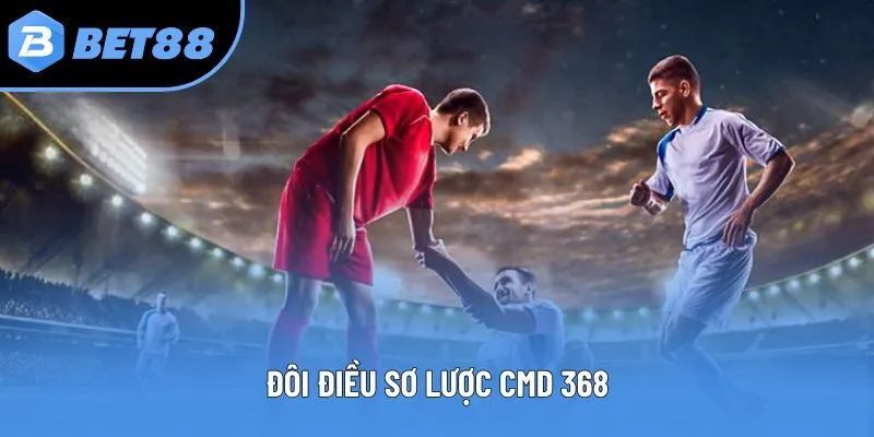 Đôi điều sơ lược CMD 368