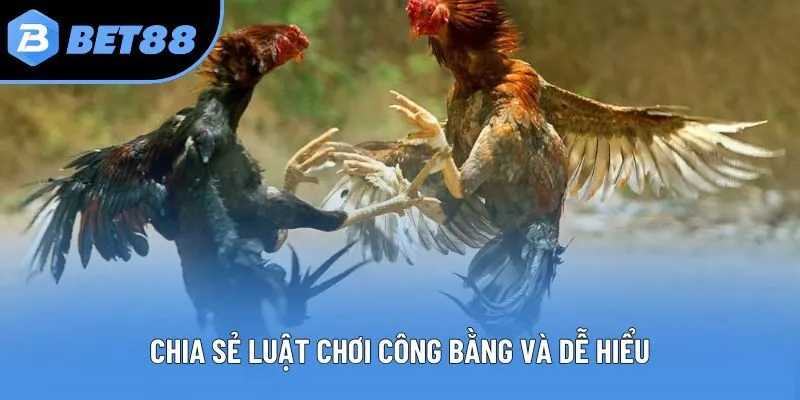 Chia sẻ luật chơi công bằng và dễ hiểu