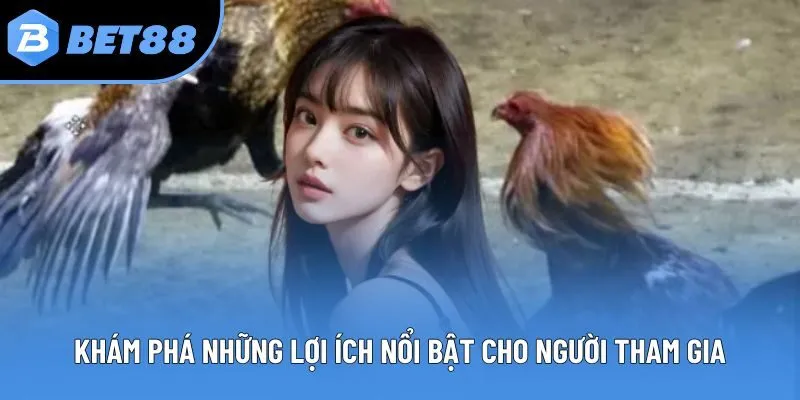 Khám phá những lợi ích nổi bật cho người tham gia