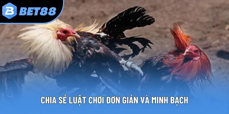 Chia sẻ luật chơi đơn giản và minh bạch