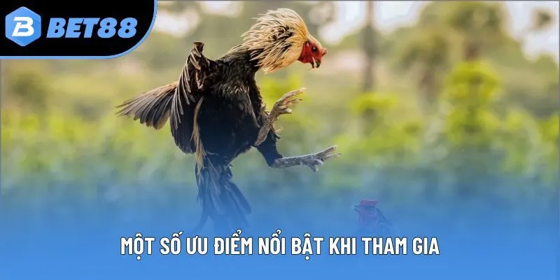 Một số ưu điểm nổi bật khi tham gia