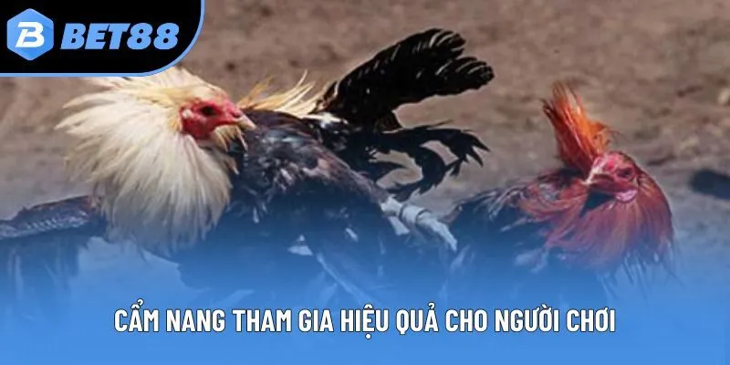 Cẩm nang tham gia hiệu quả cho người chơi