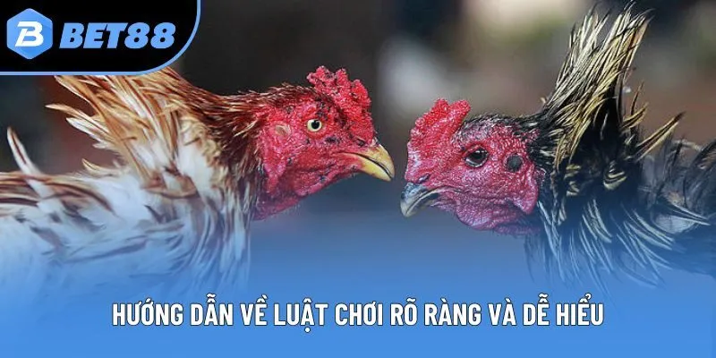 Hướng dẫn về luật chơi rõ ràng và dễ hiểu